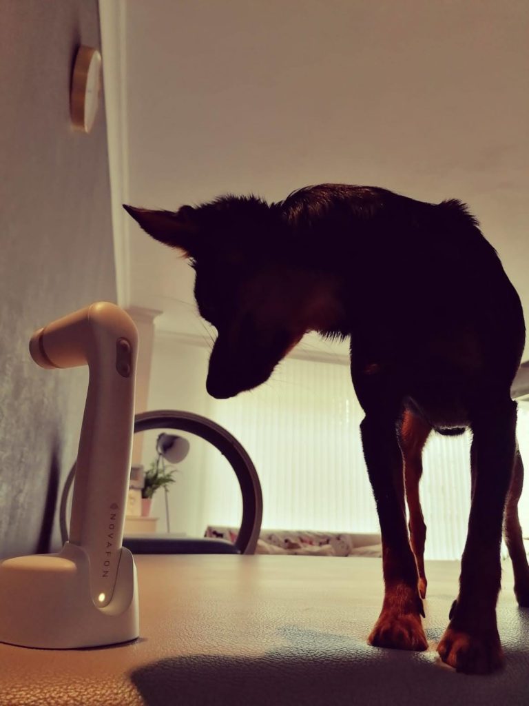 Novafon Tiefenschallgerät für sanfte Entspannung beim Hund.